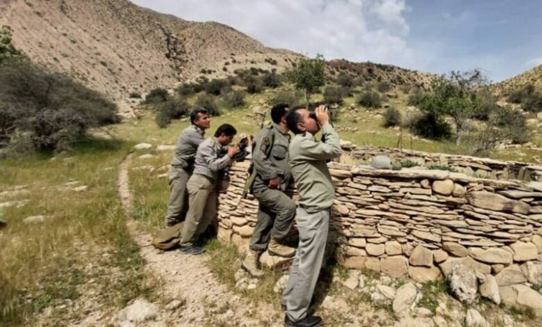 سقوط یک محیط‌بان در منطقه کوهستانی بیرمی تنگستان