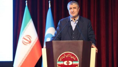 محمد اسلامی: ایران در فاز کاهش تعهدات برجامی است