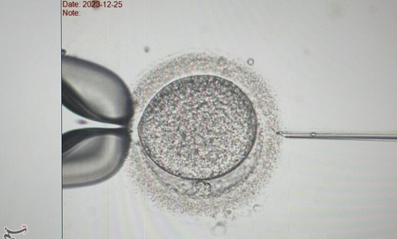 مرکز درمان سطح 3 ناباروری در کاشان افتتاح شد