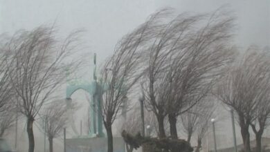 وزش باد شدید در کاشان؛ هشدار گرمازدگی صادر شد