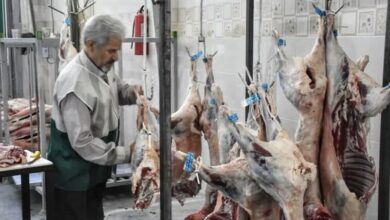 گوسفند قربانی در تهران کیلویی 330 هزار تومان