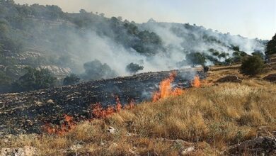 1.5هکتار از مراتع روستای مزده نطنز در آتش سوخت