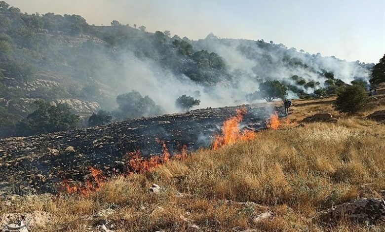 1.5هکتار از مراتع روستای مزده نطنز در آتش سوخت