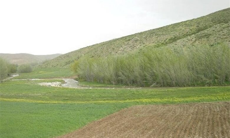 19 هکتار از مراتع گلستان پس از 2 دهه به منابع طبیعی بازگشت