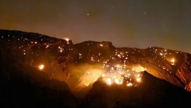 2 هزار هکتار از مراتع و جنگل‌های خائیز در آتش‌سوزی اخیر سوخت