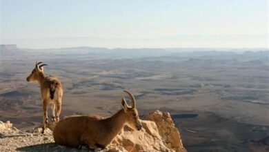 آبرسانی مستمر به منطقه حفاظت شده حیات وحش هفتاد قله