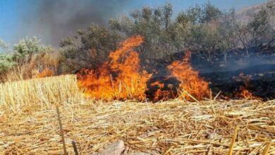 آتش‌سوزی در مراتع جاده چالوس