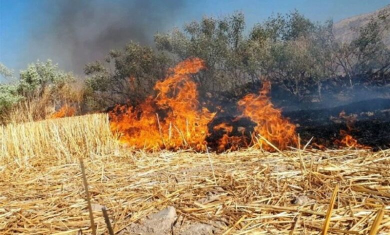 آتش‌سوزی در مراتع جاده چالوس