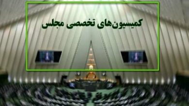 آخرین وضعیت «تب دِنگی» در کمیسیون بهداشت بررسی می‌شود