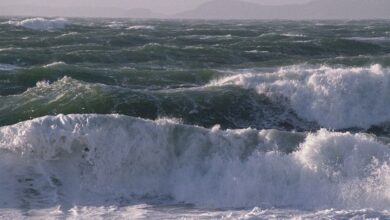 ارتفاع امواج خلیج‌ فارس به بیش از 2 متر افزایش یافت