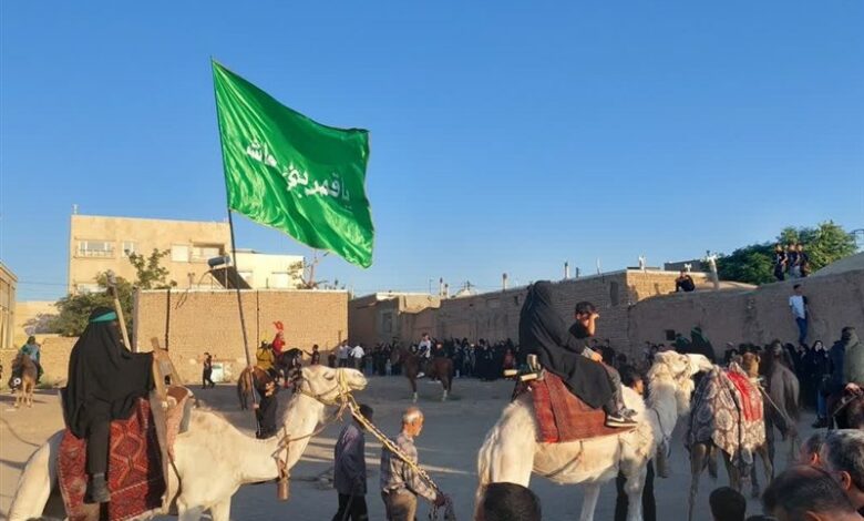 استقبال از کاروان محرم در شهرستان گناباد + تصاویر