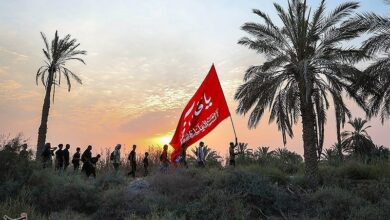 اعزام اتباع به سفر اربعین حسینی تسهیل شود