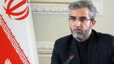 باقری:کانادا با عدم اخذ رای از ایرانیان حقوق آنها را نقض کرد