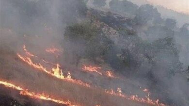 تداوم آتش در جنگل‌های لرستان/ حریق چگنی و خرم‌آباد مهار شد