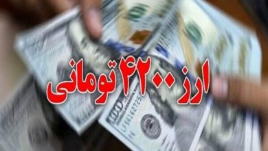 تصمیم کمیسیون اقتصاد هیات دولت در خصوص حذف‌نشدن ارز ترجیحی برنج