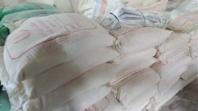 توزیع 12 هزار تن آرد توسط شبکه تعاون روستایی هرمزگان