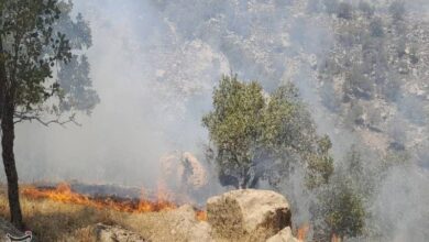 ردپای انسان در آتش‌‌ جنگل‌های لرستان/ شناسایی عاملان حریق