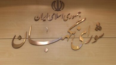 رفع ایراد شورای نگهبان در طرح اصلاح قانون بودجه ۱۴۰۳ در کمیسیون اقتصادی