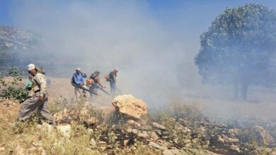 شناسایی 21 مقصر آتش‌سوزی‌‌ جنگل‌های کهگیلویه و بویراحمد