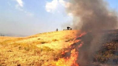 شناسایی 58 عامل آتش‌سوزی در مزارع کوهدشت