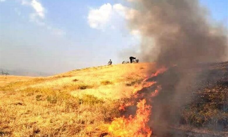 شناسایی 58 عامل آتش‌سوزی در مزارع کوهدشت