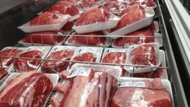 فروش گوشت گوسفندی 800 هزار تومانی در سنندج غیرقانونی است