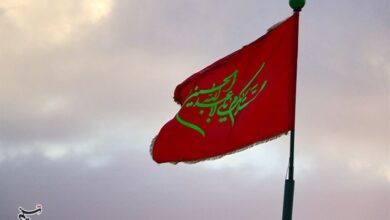 قیام امام حسین(ع) برای مبارزه با ظلم و انحرافات بود