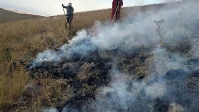 مهار آتش‌سوزی در مراتع دشتستان