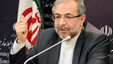 موسوی: سیاست ضدمهاجرتی و کشیدن دیوار راه‌حل نیست