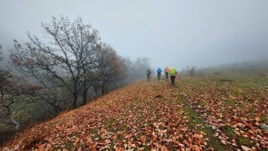 نجات خانواده گمشده در جنگل‌های ارسباران