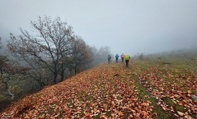 نجات خانواده گمشده در جنگل‌های ارسباران