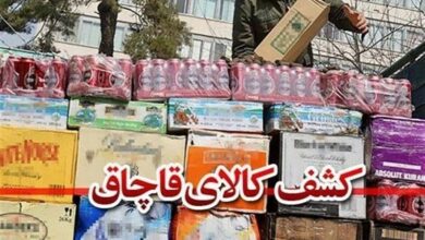 کشف 20 تن گوشت فاسد و لوازم‌خانگی قاچاق در رباط‌کریم