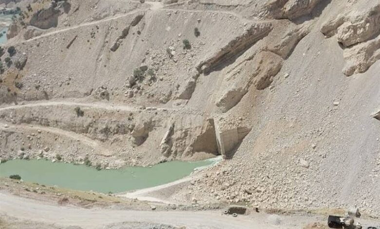 10 هزار درخت در صورت احداث سد ماندگان قطع می‌شود