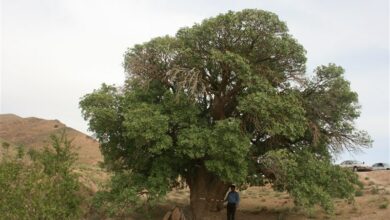 5 اثر جدید میراث‌طبیعی چهارمحال و بختیاری ثبت ملی شد