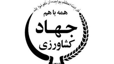 اصلاح الگوی کشت در برنامه هفتم به برنامه تولیدبهینه تغییرکرد