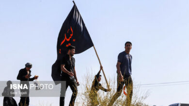 امکان جستجوی مدارک گمشده زائران اربعین فراهم شد