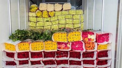 ایران رتبه 107 دنیا را در صادرات گل و گیاه دارد