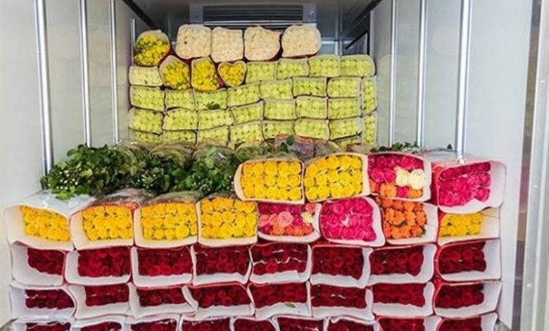 ایران رتبه 107 دنیا را در صادرات گل و گیاه دارد