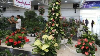 _تولید_ _40_ _میلیون_ _گل_ _و_ _گیاه_ _در_ _محمودآباد_