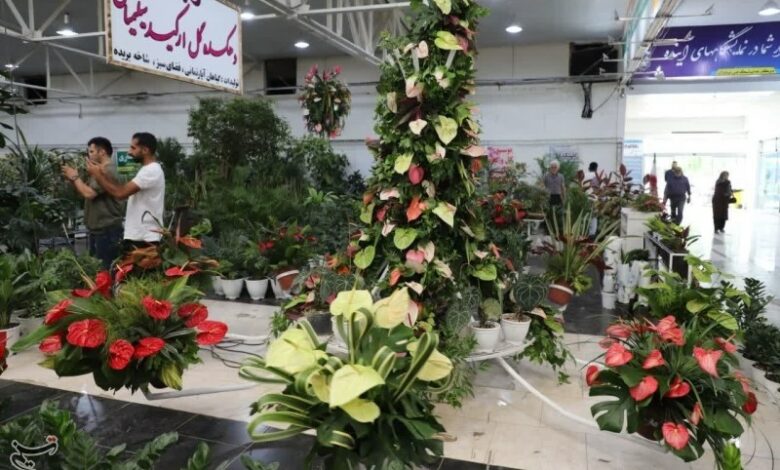 _تولید_ _40_ _میلیون_ _گل_ _و_ _گیاه_ _در_ _محمودآباد_
