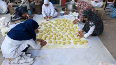 خدمات‌رسانی 60 جهادگر خراسان جنوبی به زائران اربعین