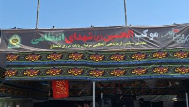 خدمت‌رسانی موکب الحسین(ع) به زائران در مرز باشماق+تصاویر