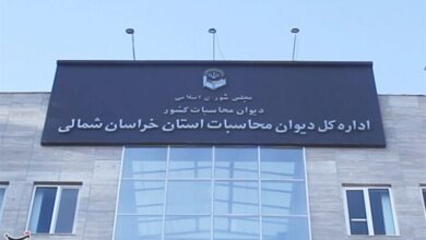 دیوان محاسبات وظایف دستگاه‌ها در حوزه اربعین را رصد می‌کند