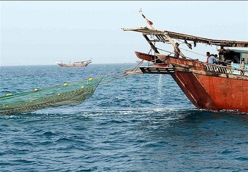 صید 881 تن میگو در سواحل استان بوشهر