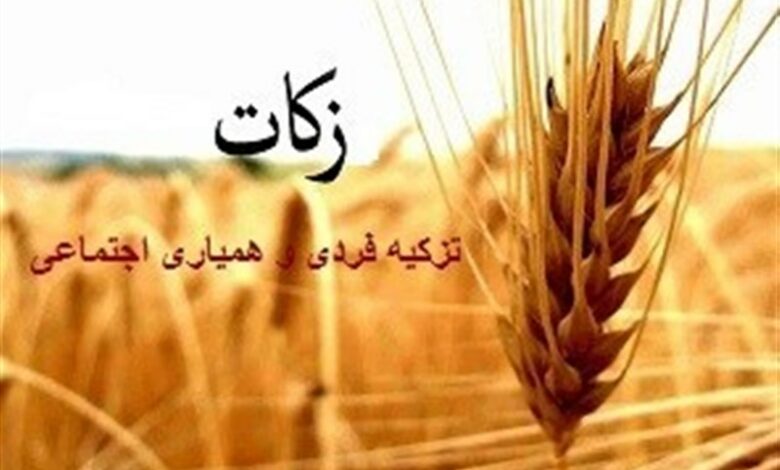 فعالان ستاد زکات ساماندهی می‌شوند