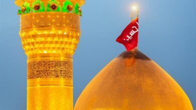 چرا ‌باید ‌به زیارت حضرت امام حسین (ع) برویم؟ + فیلم