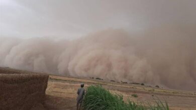 کنترل گردوغبار در گلستان با همکاری ترکمنستان