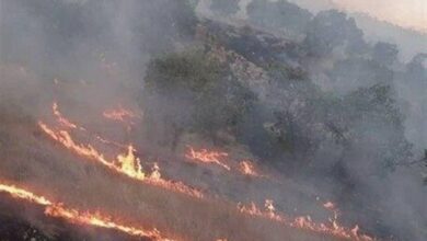 _20_ _فقره_ _آتش_‌_سوزی_ _در_ _جنگل_‌_های_ _پلدختر_/ _2مظنون_ _شناسایی_ _شدند_