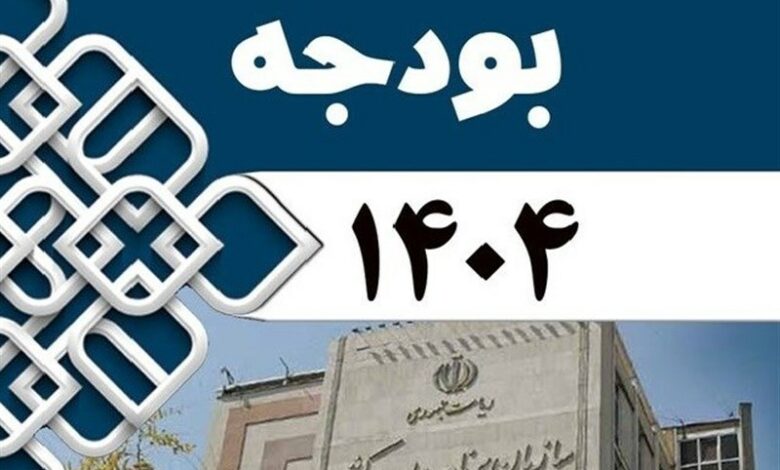 ابوترابی: بودجه 1404 برمبنای برنامه هفتم تدوین شود