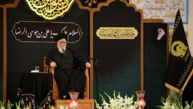 امام رضا(ع) نقشه «ادغام جریان خلافت و امامت» را باطل کرد